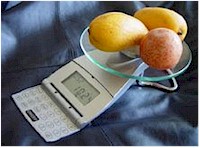 Ashiba MP-500 digital scale