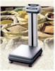 CAS DL-100 bench scale