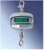 CAS digital crane scales
