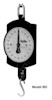 Chatillon mechanical hanging scales
