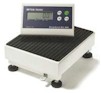 Mettler Toledo WSI-600 Medical Scales
