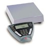Champ SQ-Series Bench Scales