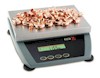 Ohaus Ranger Series digital industrial scales