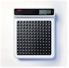 Seca 770 Digital Doctor's Scales