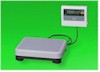 BWB Series digital scales