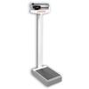 Detecto 442 Legal For Trade Certifier Scale 350 lb x 4 oz / 160 kg x 100 kg Capacity