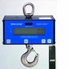 Intercomp CS750 100651 Hanging scale