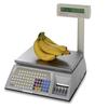 Avery Berkel IX202 Printing scale