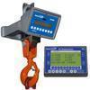 Intercomp CS1500RFX - 184513-RFX LCD Crane Scale w/Handheld RFX Indicator, 20000 x 10 Ib