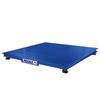 Inscale 46-10 Low Profile 4 x 6 Legal for Trade Floor Scale, 10000 lb x 2 lb