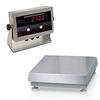 Rice Lake IQ plus® 2100SL 65172 Legal for Trade 12 x 12 inch Bench Scale with Tilt Stand 30 lb x 0.01 lb