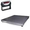 Rice Lake 78772 Summit 4 x 4 LED Floor Scale Legal for Trade 5000 x 1 lb