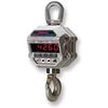 MSI 156017 Port-A-Weigh MSI-4260-IS Legal for Trade Intrinsically Safe Crane Scale 20,000 x 5.0 lb