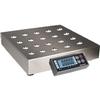 Rice Lake BP-1216-50SBT BenchPro Legal for Trade 12 x 16 inch Ball Top Scale 100 x 0.02 lb