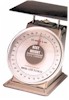 Best Weight Spring Scales