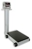 Detecto 5852-F210 & 8852-F210 Digital Receiving Scales