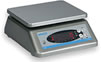 Salter Brecknell C3235 Washdown Checkweighing Scale