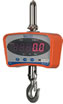 Salter Brecknell CS Electronic Crane Scales