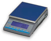 Salter ESA Digital Scales
