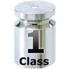 Mettler Toledo® 11123449 ASTM Class 1 Calibration Weight - 10  mg