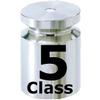 Class 5 Test Weights