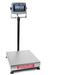 Brecknell 3900LP-100 Legal for Trade Bench Scale 100 x 0.02 lb