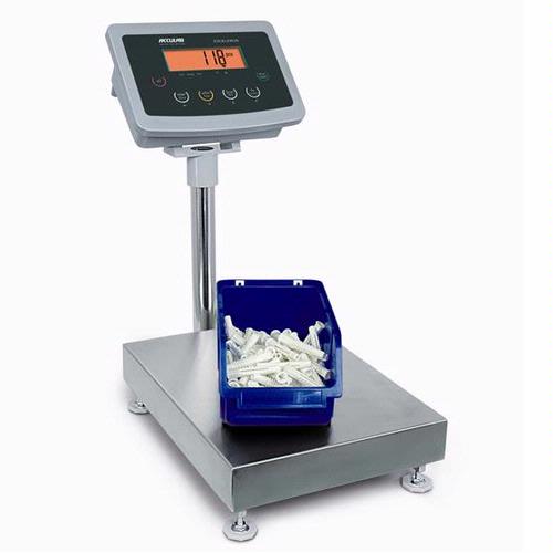 Acculab ECL300GFP-LO-US Exceleron Series Multi-Functional Industry Floor Scale 660 lbs x 0.05 lbs Capacity