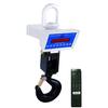 Intercomp CS1500 100665 Crane Scale with remote, 10,000 x 5.0 lb