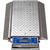 Intercomp PT300DW 100097 (Double Wide) Wheel Load Scales, 20000 x 10 lb Intercomp PT300DW 100097
