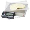 Avery Berkel 6702 Point of Sale Bench Scale 9504-16422, 30lb x 0.01lb