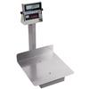 Detecto Bench Scales