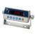 CAS CI-2001A Indicator wi