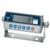 CAS CI-2001B Indicator wi