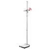 Seca 264 360 Wireless Wall Mounted Stadiometer, 11 inch ? 7 ft 2 inch