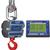 Intercomp CS3000 100681-R