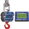 Intercomp CS3000 100681-RFX Crane Scale w/S1 Swivel & Eyehook & Wireless Indicator, 2,000 x 1lb