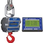 Intercomp CS3000 100681-RFX Crane Scale w/S1 Swivel & Eyehook & Wireless Indicator, 2,000 x 1lb