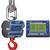 Intercomp CS3000 100683-R