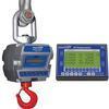 Intercomp CS3000 100683-RFX Crane Scale w/S1 Swivel & Eyehook & Wireless Indicator, 10,000 x 2lb