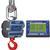 Intercomp CS3000 100688-R