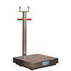 CAS TRS-1000SW Transit Swivel Wheel 18 x 24 Platform Stainless Steel 1000 x 0.2 lb (No Indicator)