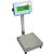 Warrior Washdown Industrial Scale