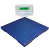 Adam Equipment PT 312-5M [GKaM] Floor Scale 47in x 47in (GK-M Indicator) Legal for Trade, 5000 x 1 lb