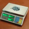 DigiWeigh Counting Scales