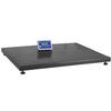 DigiWeigh 5ft x 5ft DWP-11KR Floor Scale 10000 x 1 lb