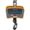 DigiWeigh DWP-500C2X Crane Scale -  500 x 0.2 lb