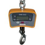 DigiWeigh DWP-500C2X Crane Scale -  500 x 0.2 lb