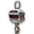 MSI MSI-4260B-10000 Port-