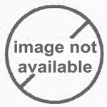 MSI 503438-0001 Transport for 500-10,000 lb capacity unit