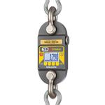 Dillon AWT05-506315 EDXtreme RED Dynamometer with two shackles & backlight 25000 x 5 lbs
